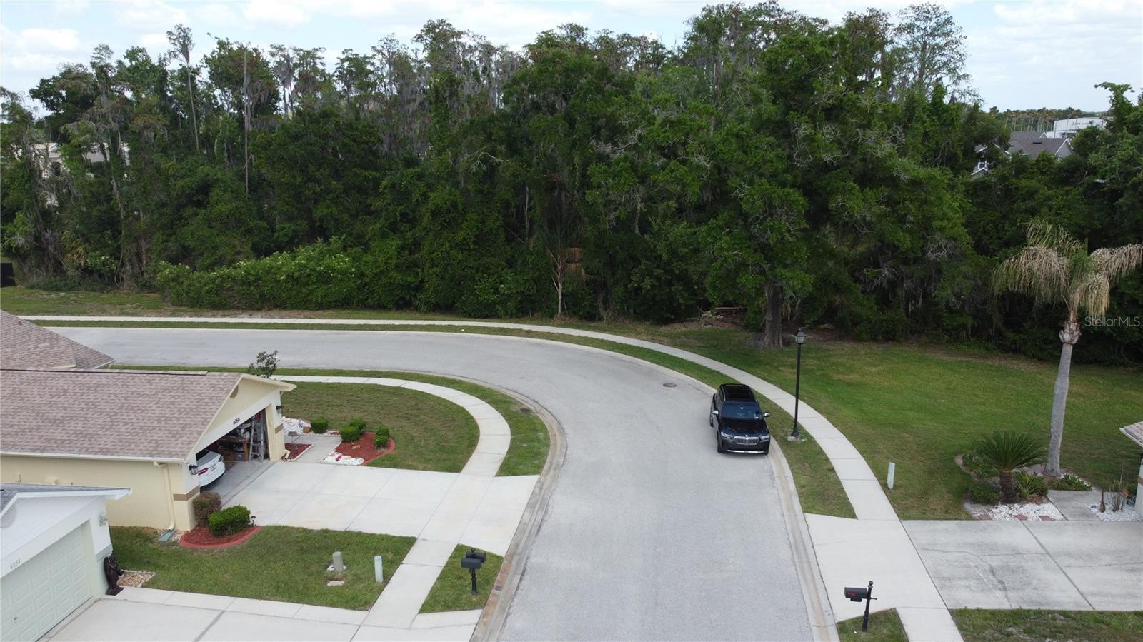 6053 GENTLE BEN CIR, WESLEY CHAPEL, FL — photo 56