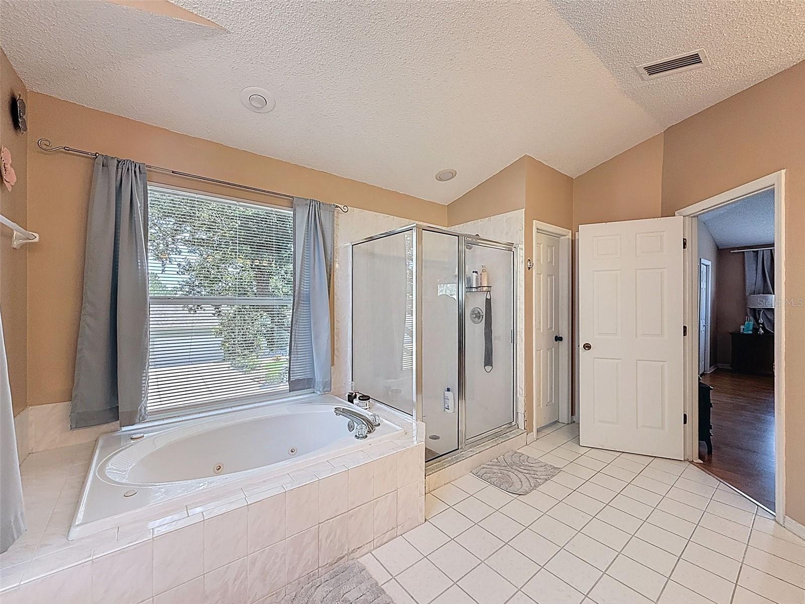 13002 SAINT FILAGREE DR, RIVERVIEW, FL — photo 58