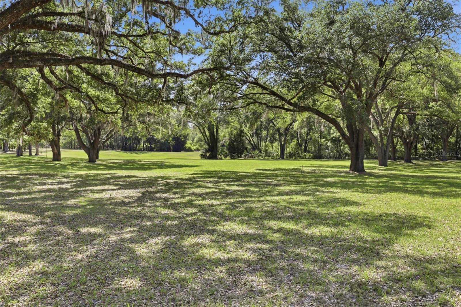 818 NE 783 ST, OLD TOWN, FL — photo 79