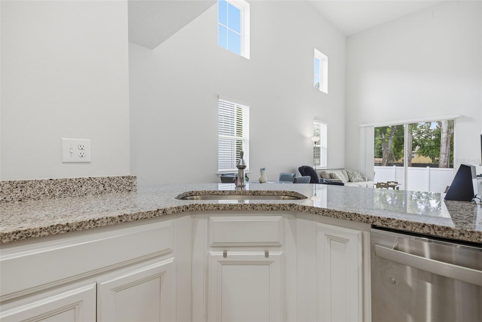 2130 LACEFLOWER DR, BRANDON, FL — photo 5