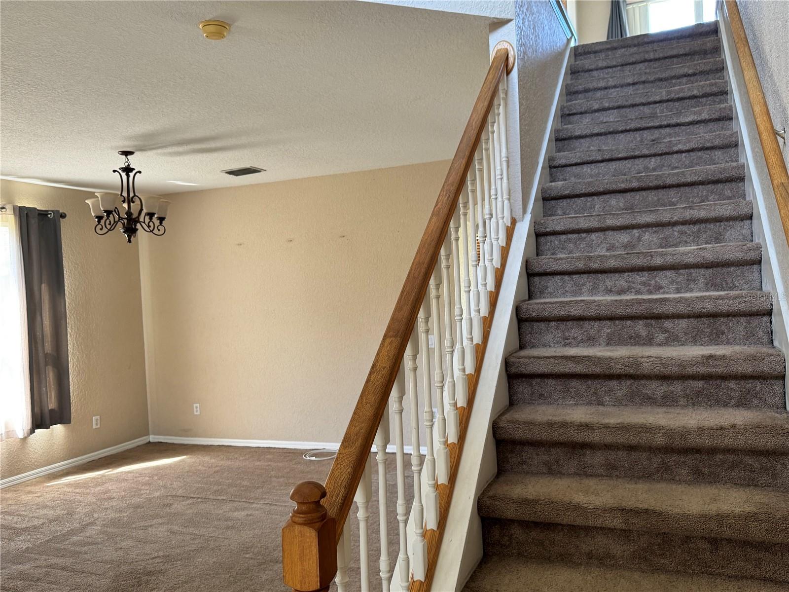 9023 PINEBREEZE DR, RIVERVIEW, FL — photo 9