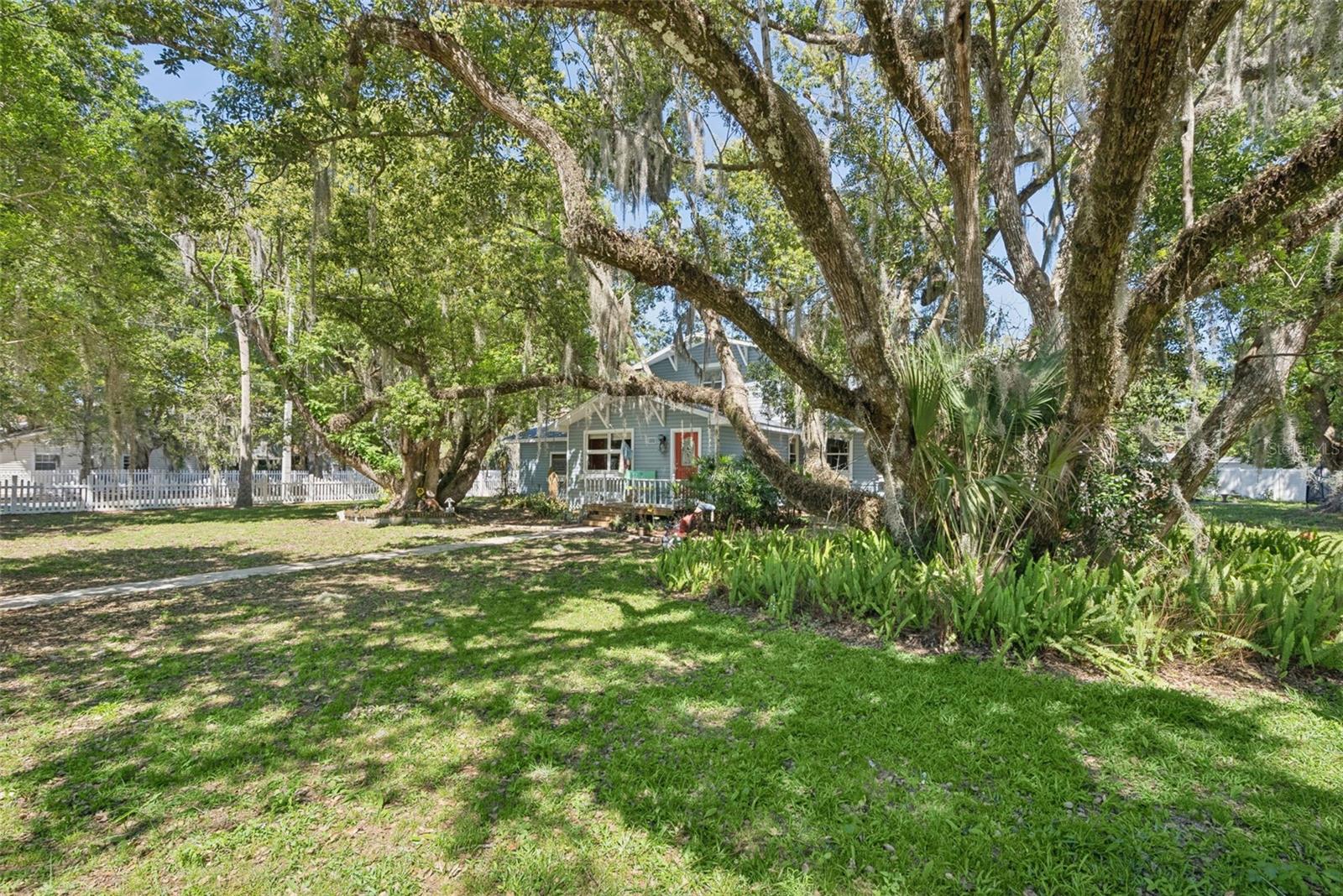 1048 N GRANDVIEW ST, MOUNT DORA, FL — photo 76