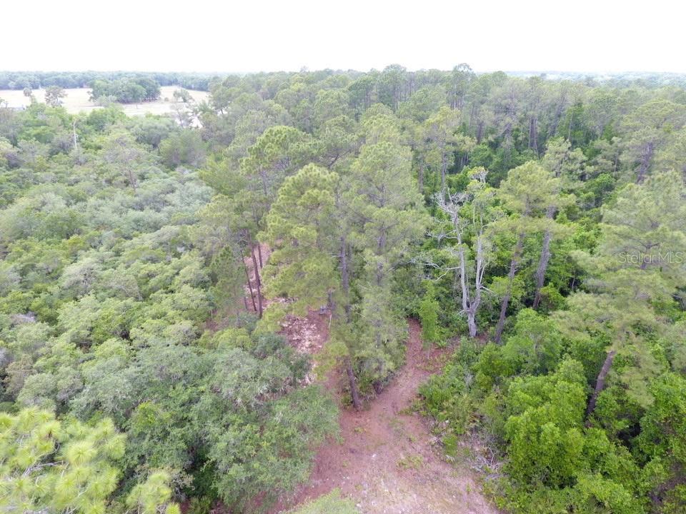 161 SNAKE HILL RD, CRESCENT CITY, FL