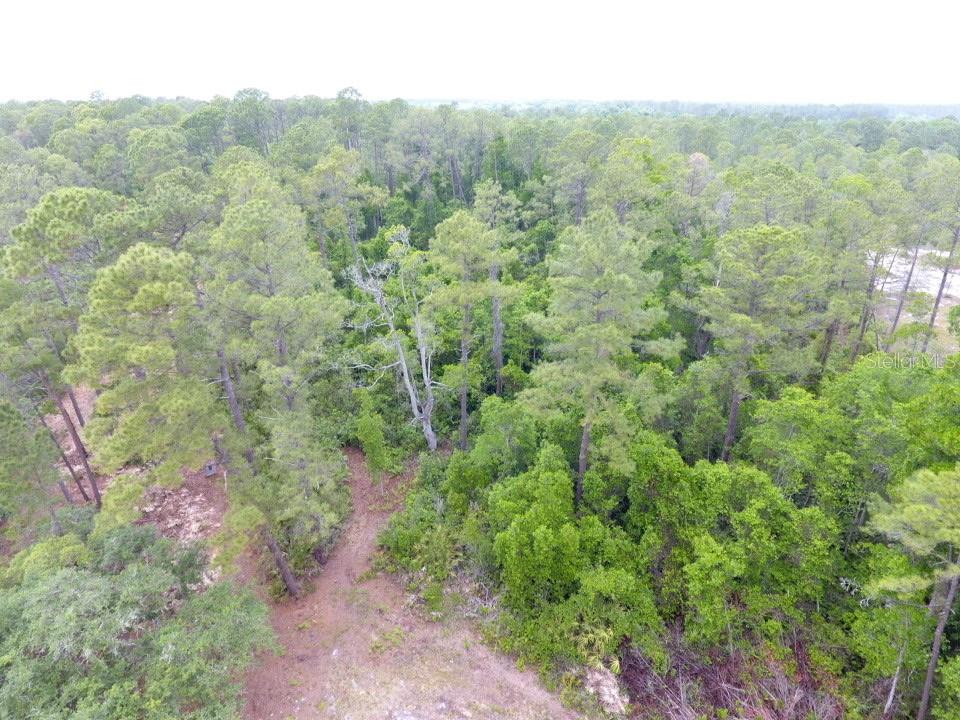 161 SNAKE HILL RD, CRESCENT CITY, FL — photo 2