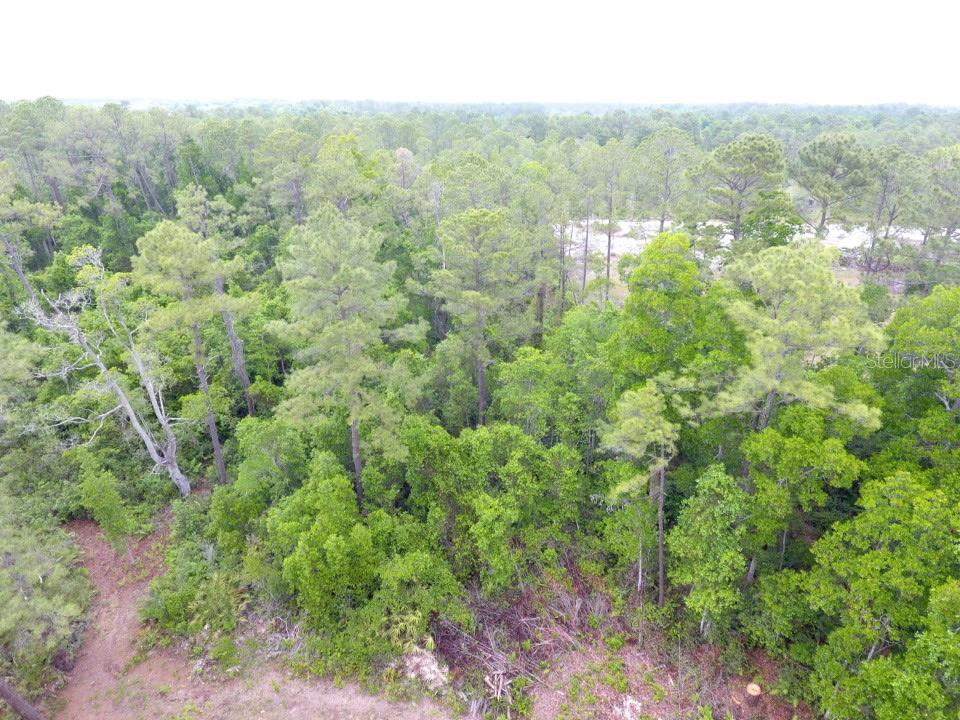 161 SNAKE HILL RD, CRESCENT CITY, FL — photo 3