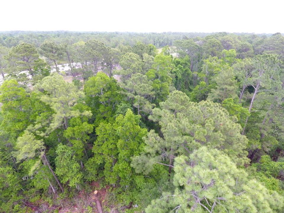 161 SNAKE HILL RD, CRESCENT CITY, FL — photo 4