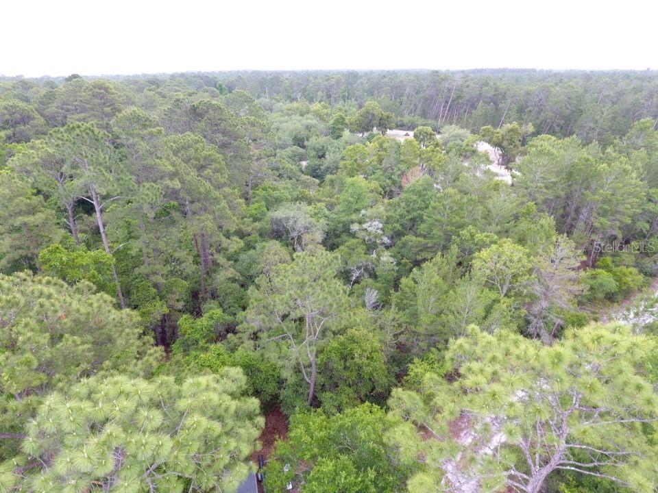 161 SNAKE HILL RD, CRESCENT CITY, FL — photo 5
