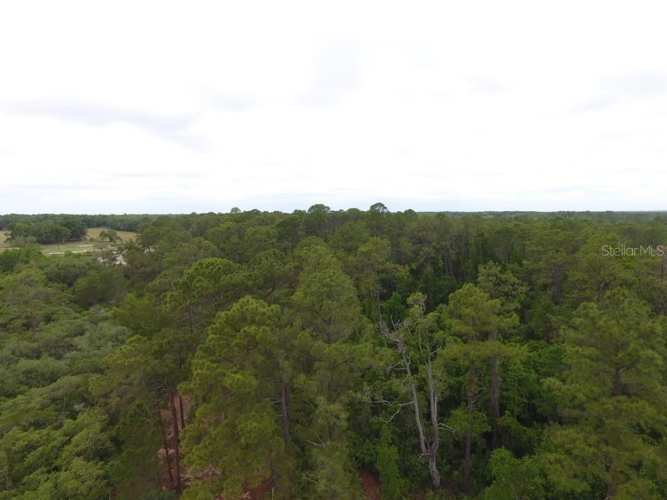 161 SNAKE HILL RD, CRESCENT CITY, FL — photo 6