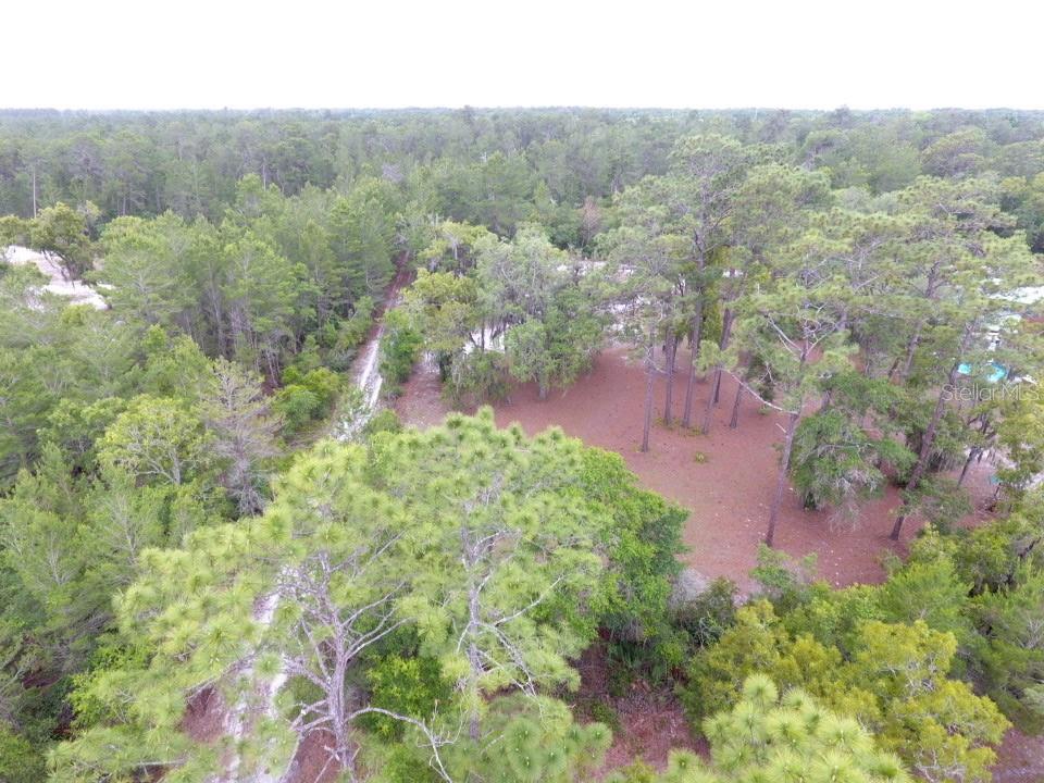 161 SNAKE HILL RD, CRESCENT CITY, FL — photo 7