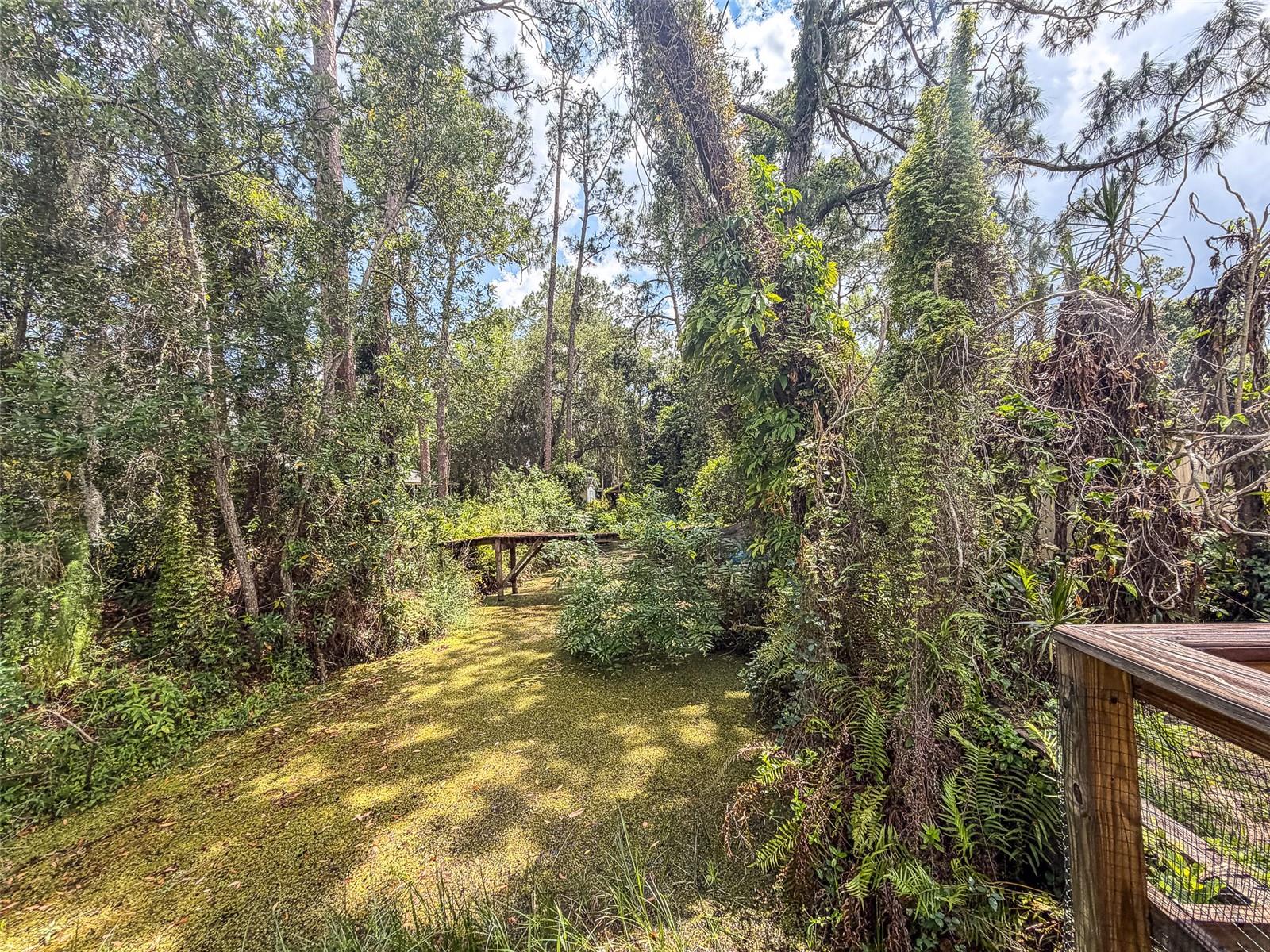 305 CLOVERLEAF RD, LAKE PLACID, FL — photo 25