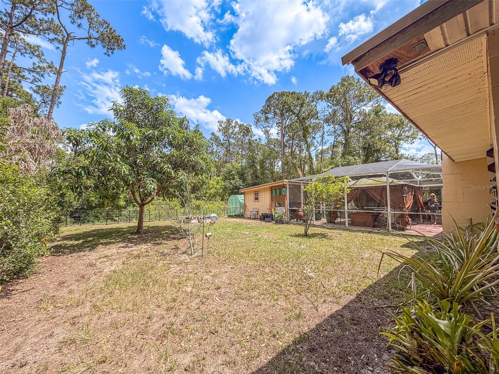 305 CLOVERLEAF RD, LAKE PLACID, FL — photo 27