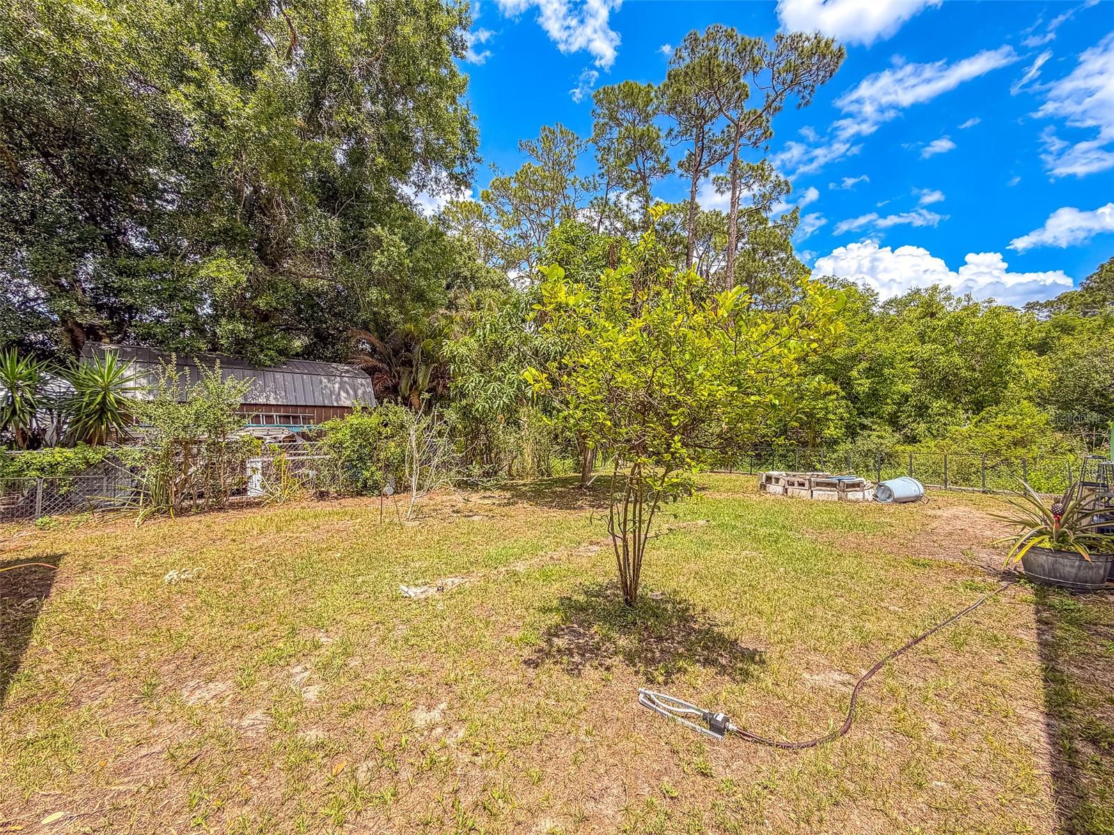 305 CLOVERLEAF RD, LAKE PLACID, FL — photo 30