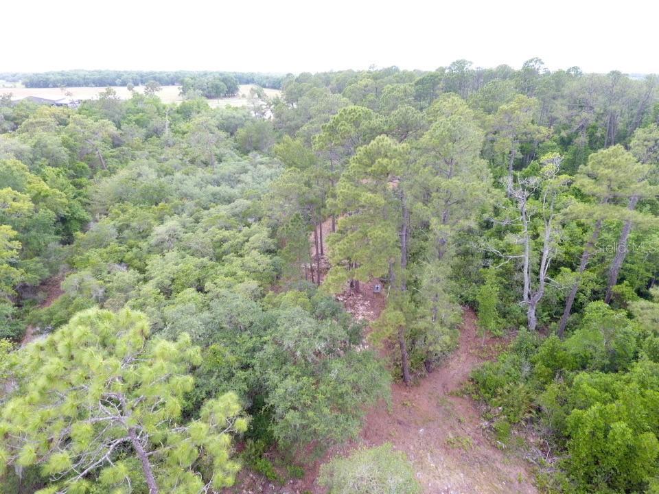 155 SNAKE HILL RD, POMONA PARK, FL