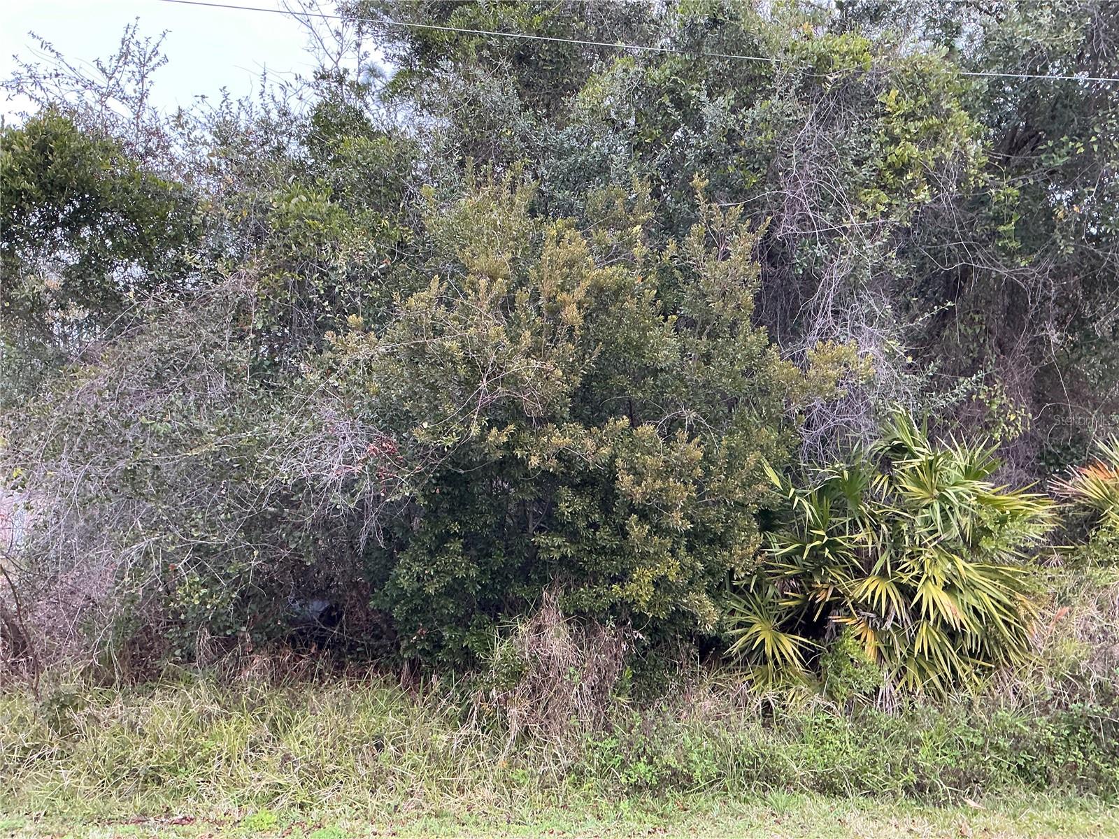 12 FAYY LN, PALM COAST, FL