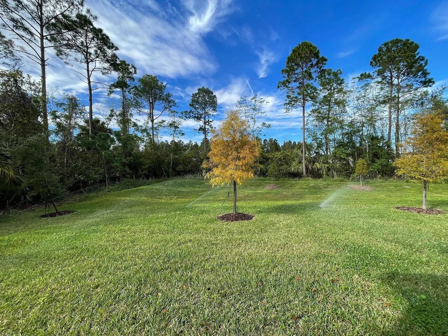 17135 CAGAN CROSSINGS BLVD, CLERMONT, FL — photo 38