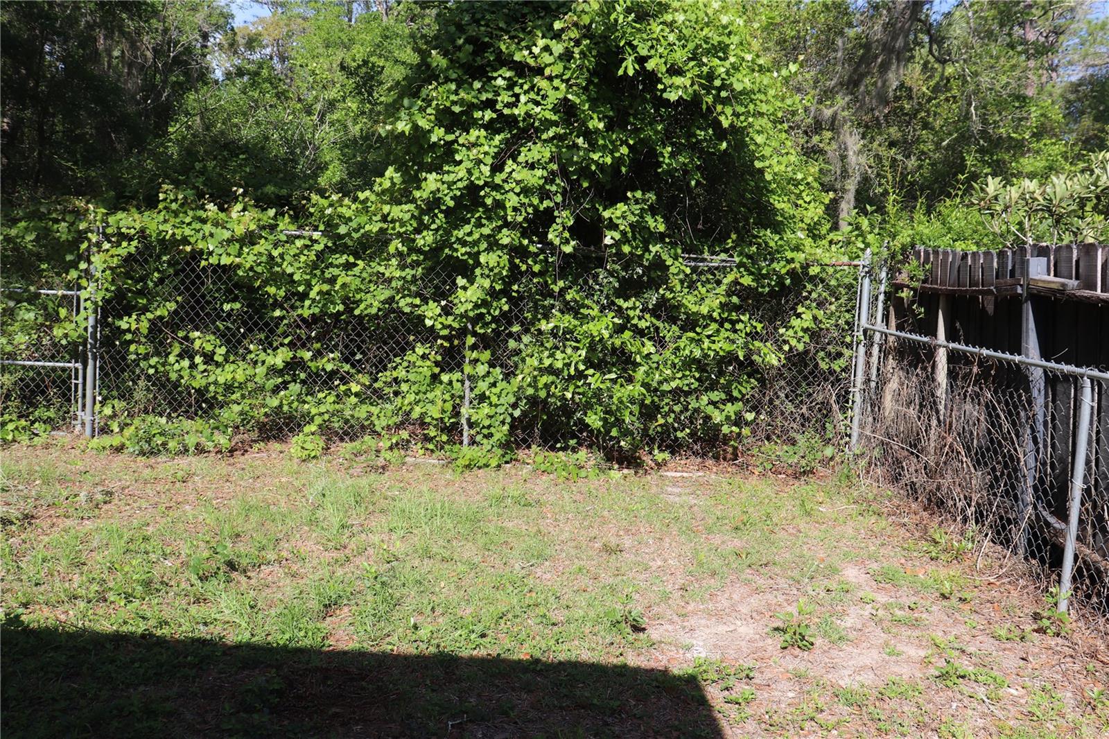 1112 NE 130 TER, SILVER SPRINGS, FL — photo 35