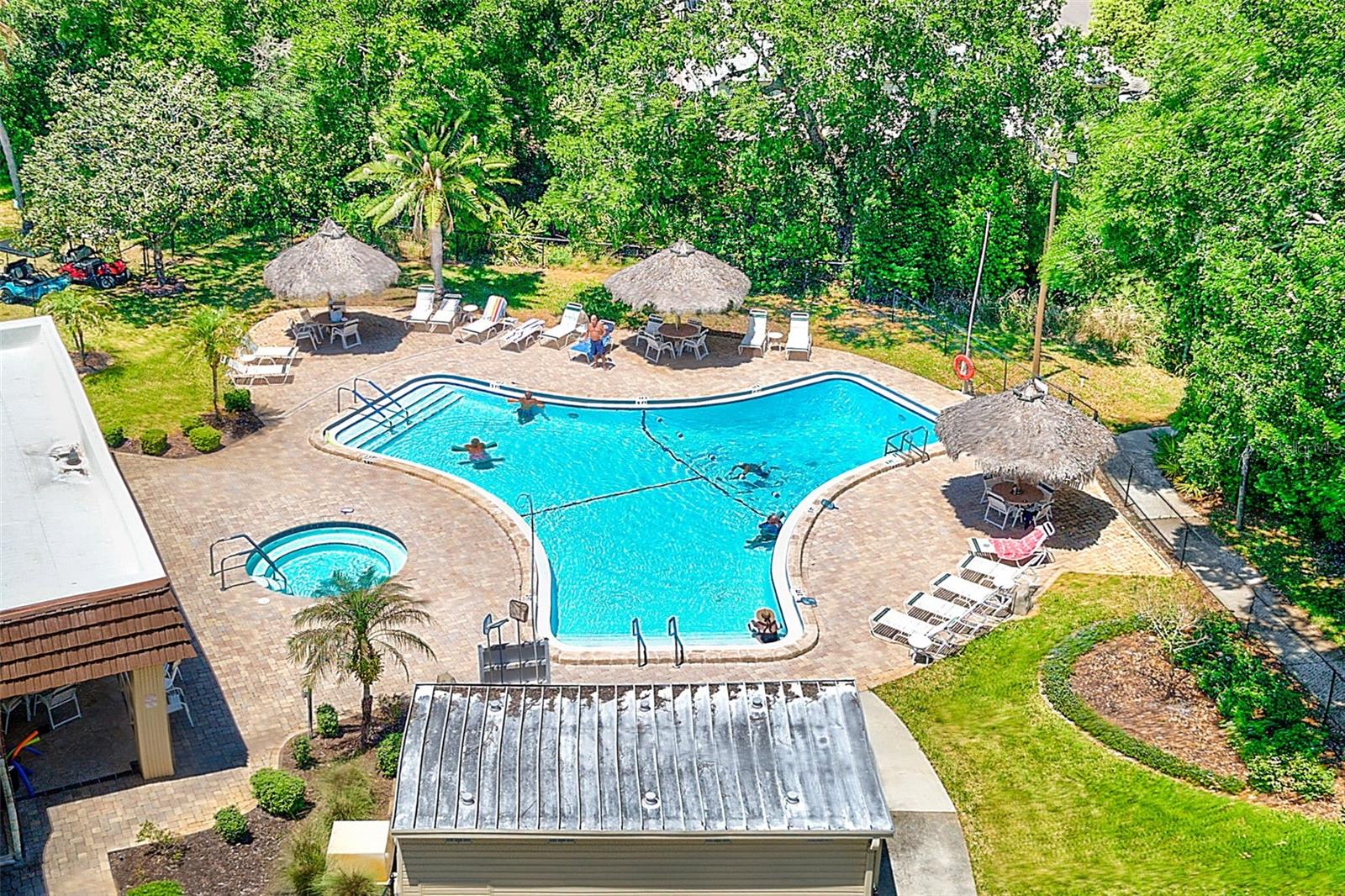 94 SUGAR BEAR DR #55, SAFETY HARBOR, FL — photo 40