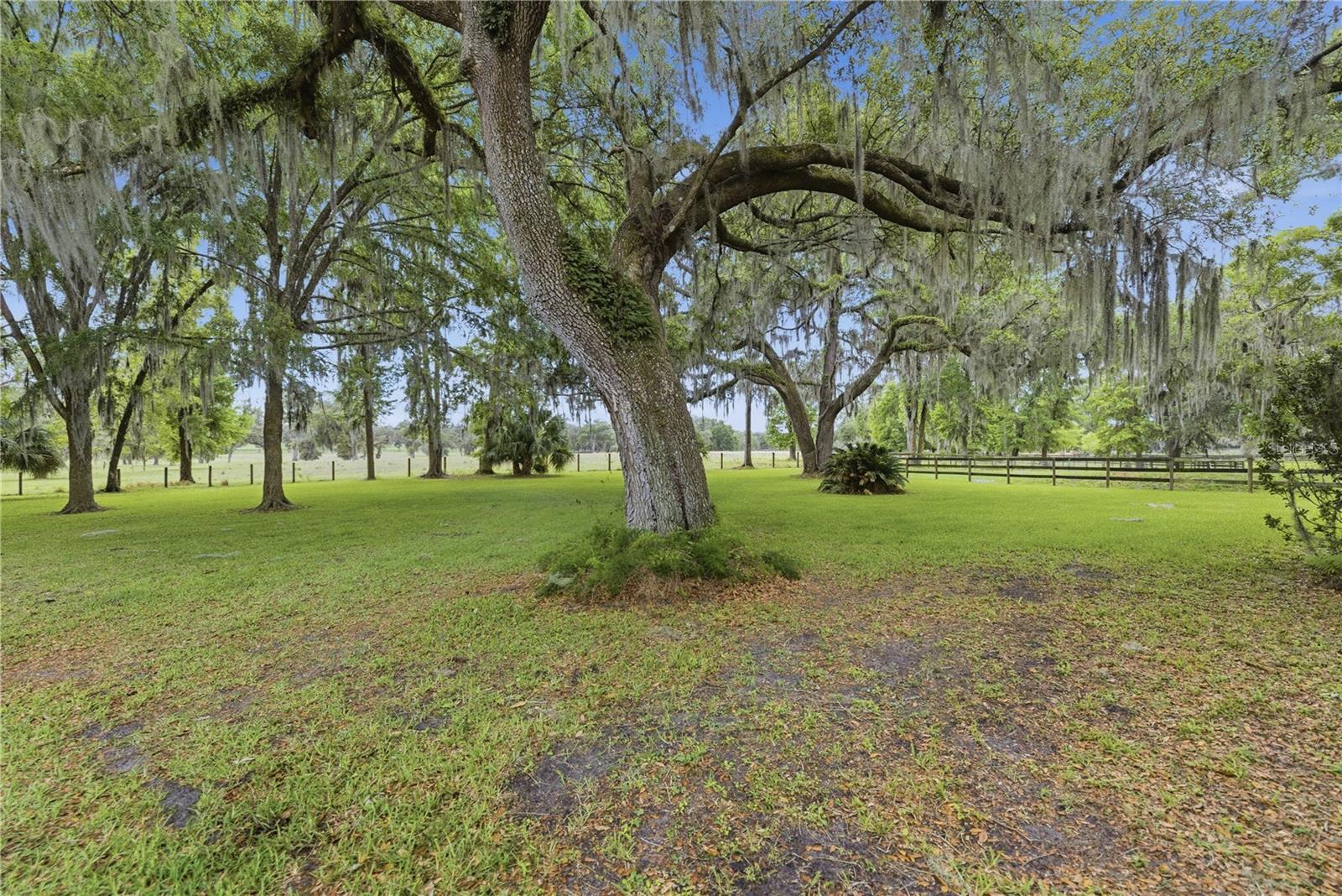 5999 NW 90TH AVE, OCALA, FL — photo 34