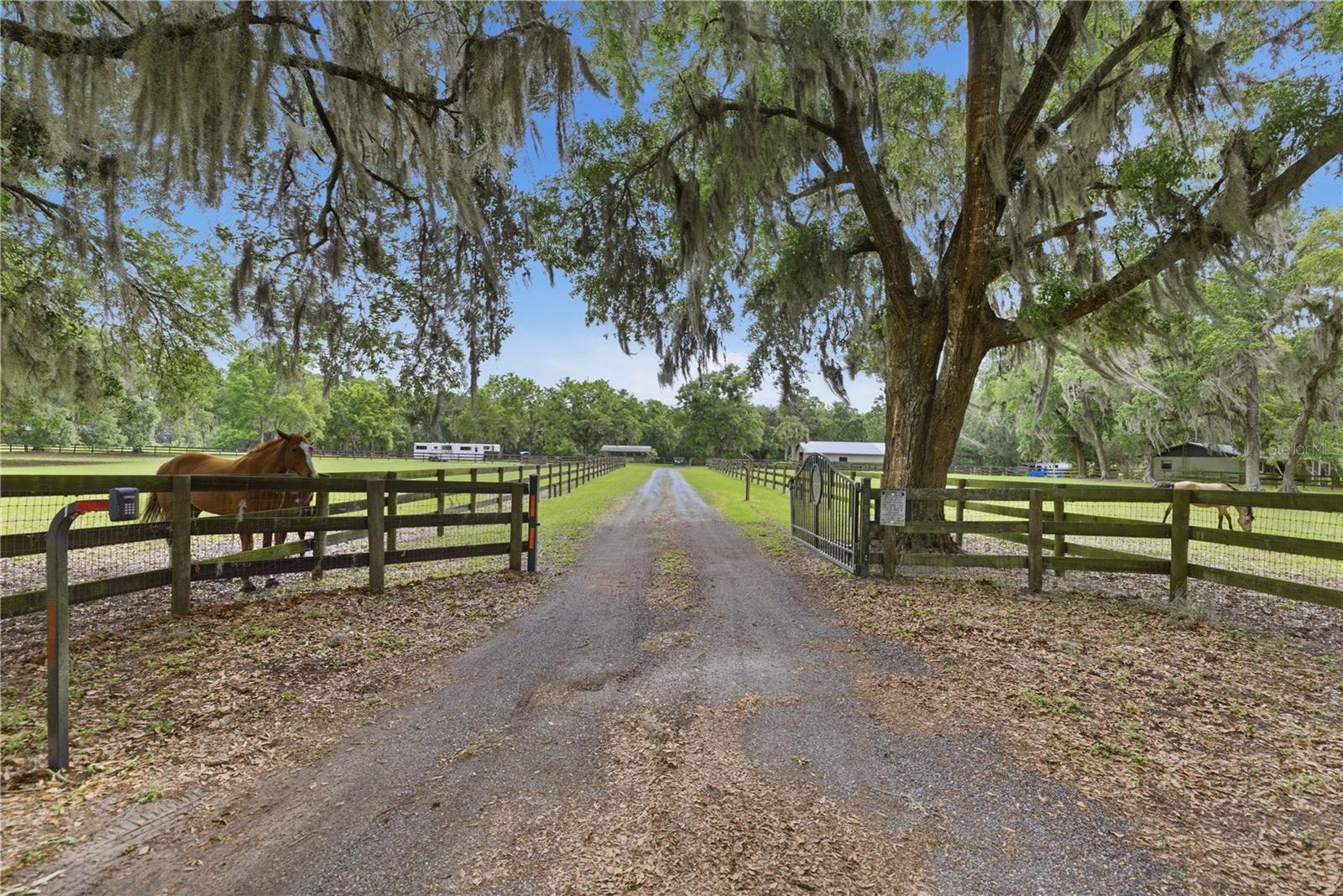 5999 NW 90TH AVE, OCALA, FL — photo 35