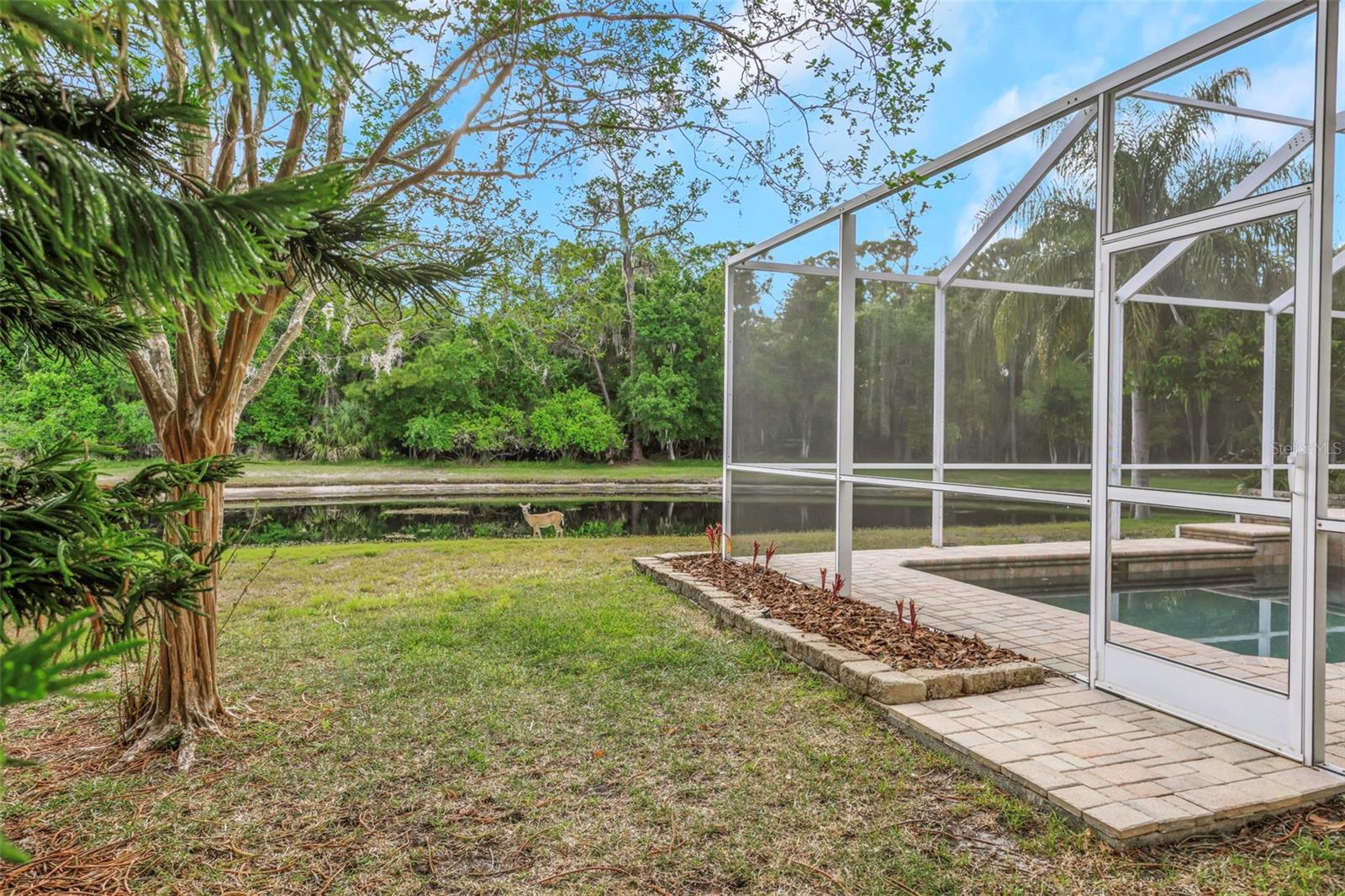4152 GRANDCHAMP CIR, PALM HARBOR, FL — photo 4