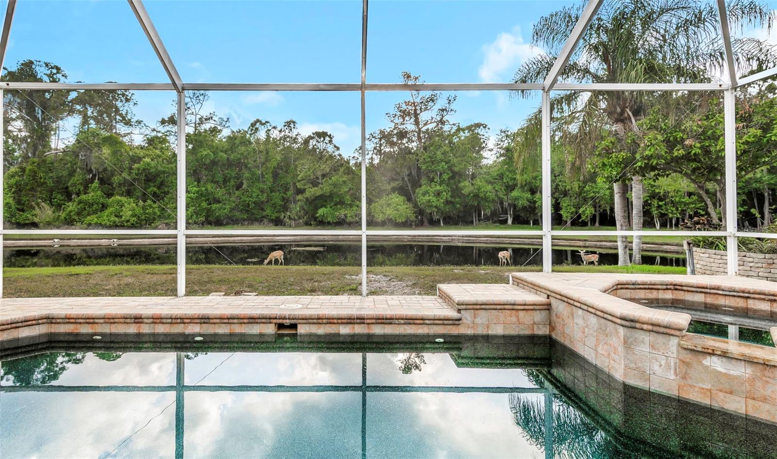 4152 GRANDCHAMP CIR, PALM HARBOR, FL — photo 3