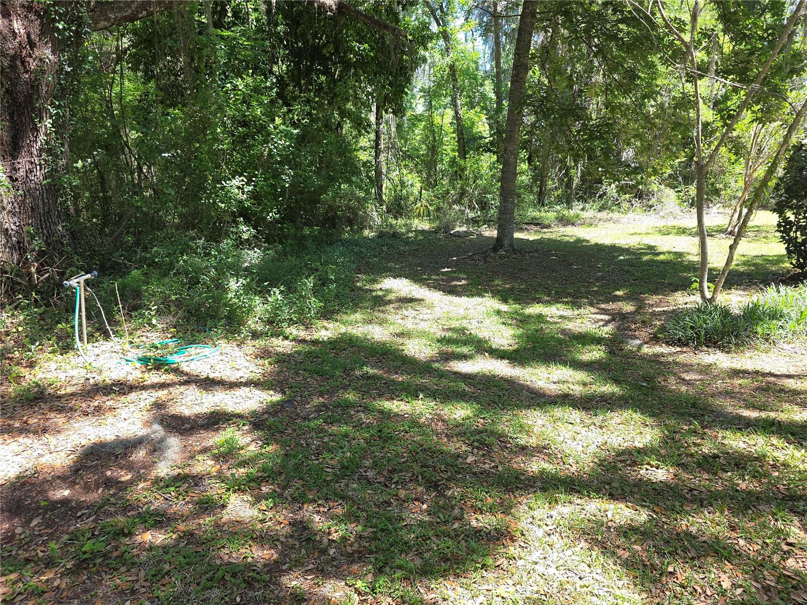 13499 OLD CRYSTAL RIVER RD, BROOKSVILLE, FL — photo 3