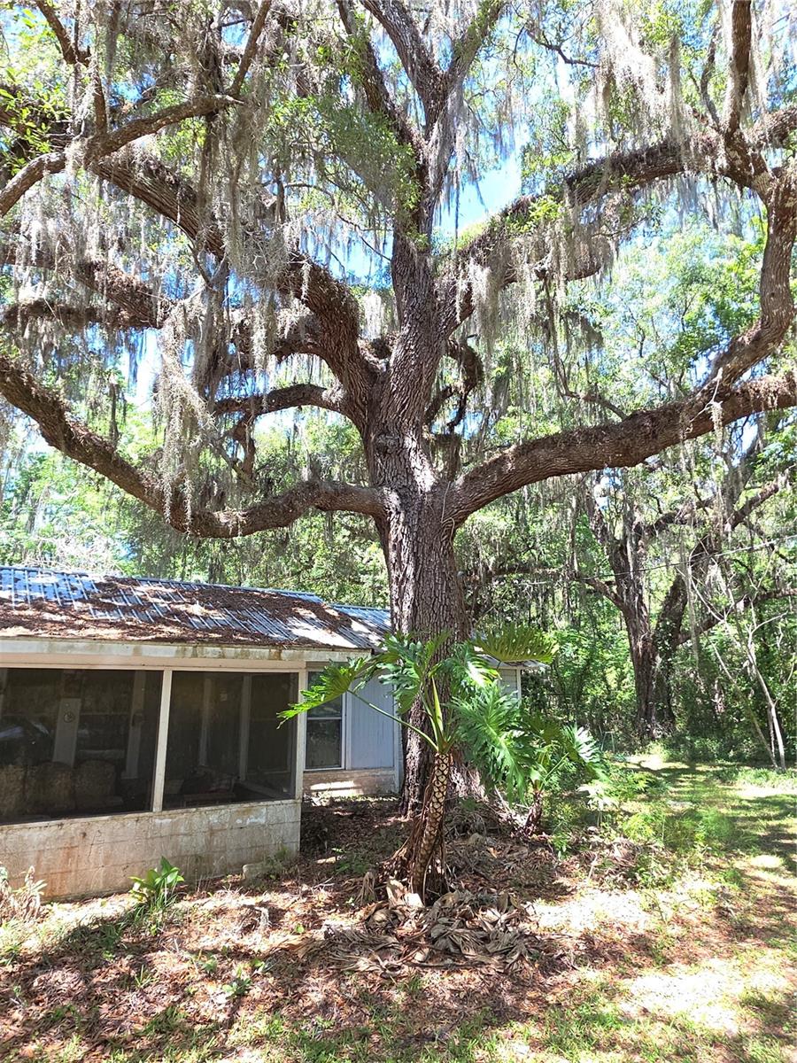 13499 OLD CRYSTAL RIVER RD, BROOKSVILLE, FL — photo 25
