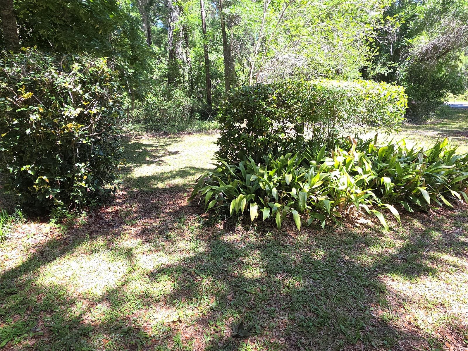 13499 OLD CRYSTAL RIVER RD, BROOKSVILLE, FL — photo 26