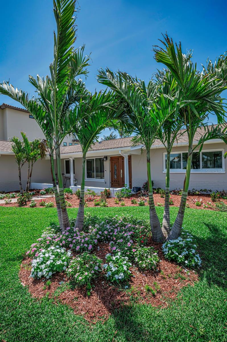 11800 7TH ST E, TREASURE ISLAND, FL — photo 3