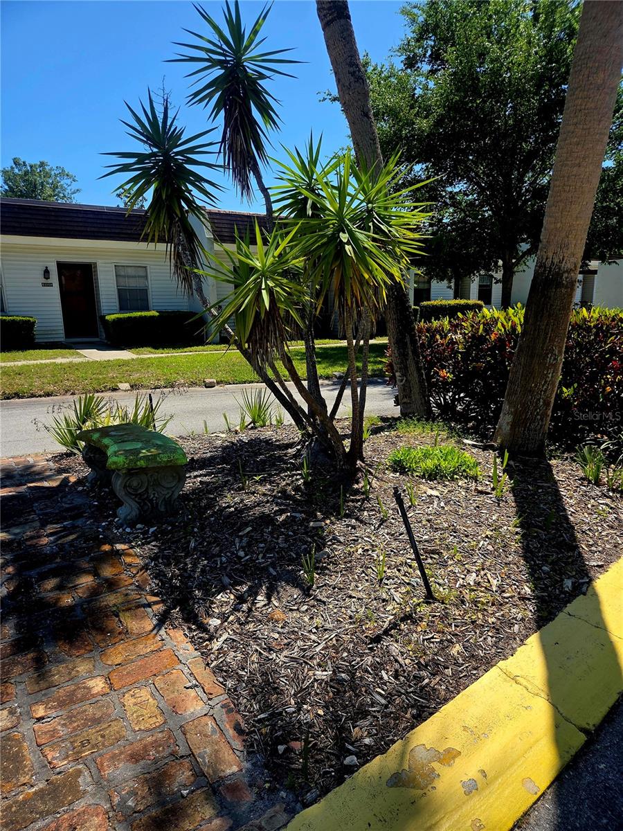 13719 MISSION OAKS BLVD #0, SEMINOLE, FL — photo 22