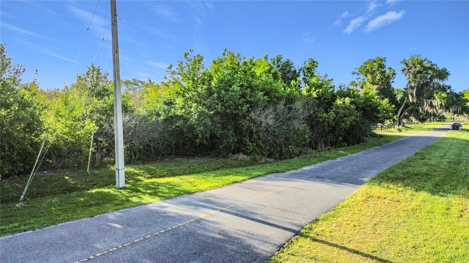 0000 OLD HICKORY TREE RD, ST CLOUD, FL — photo 10