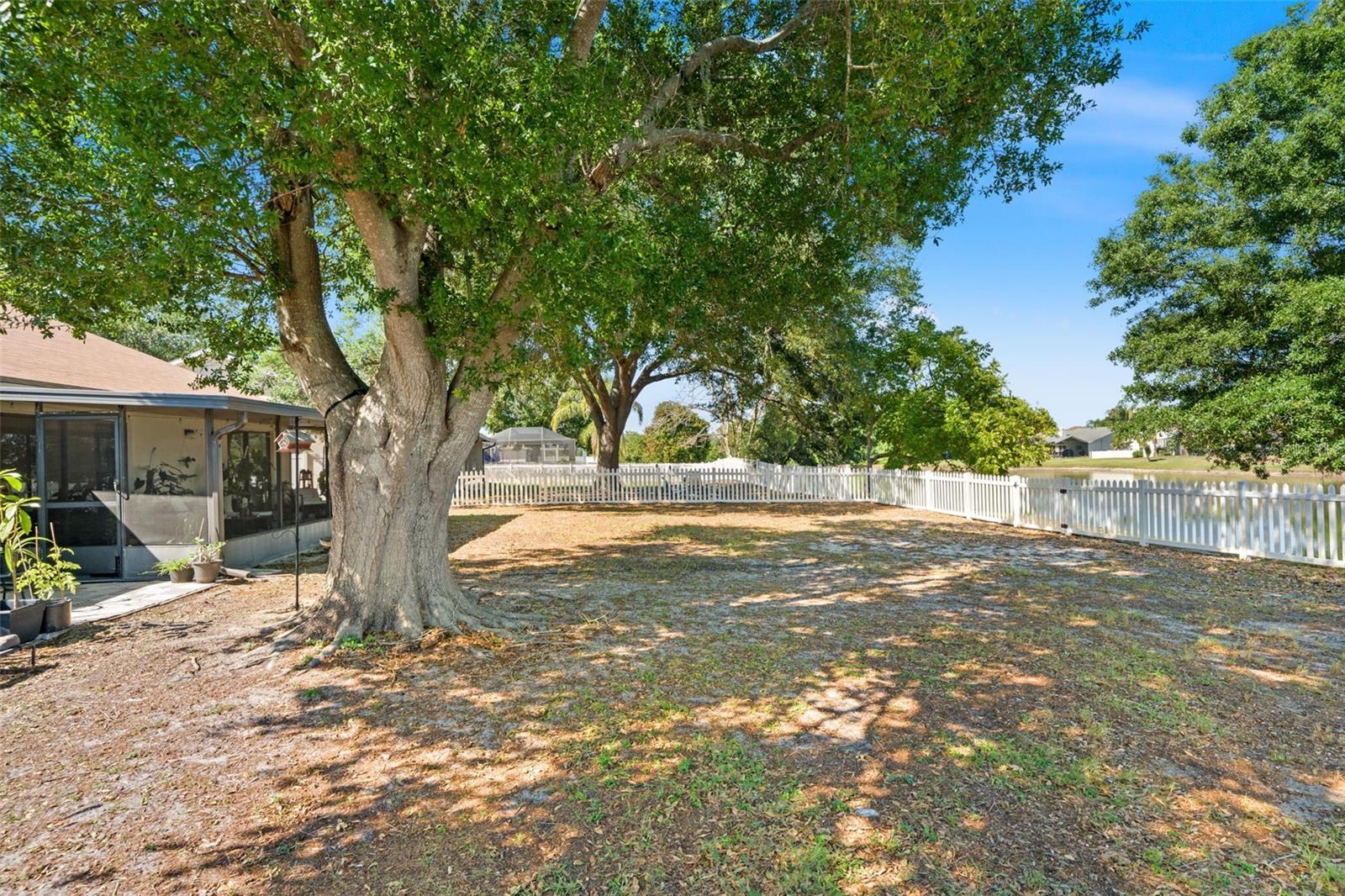 12908 LONGCREST DR, RIVERVIEW, FL — photo 28
