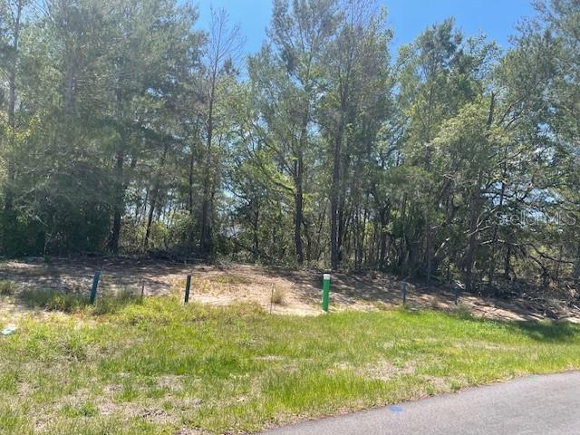 1342 HOMOSASSA DR, POINCIANA, FL — photo 4