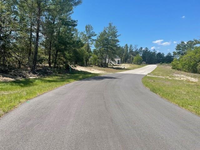 1342 HOMOSASSA DR, POINCIANA, FL — photo 3