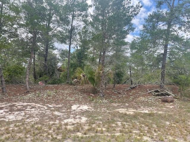 1342 HOMOSASSA DR, POINCIANA, FL
