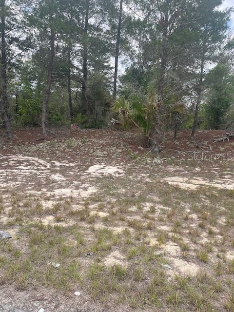 1342 HOMOSASSA DR, POINCIANA, FL — photo 2