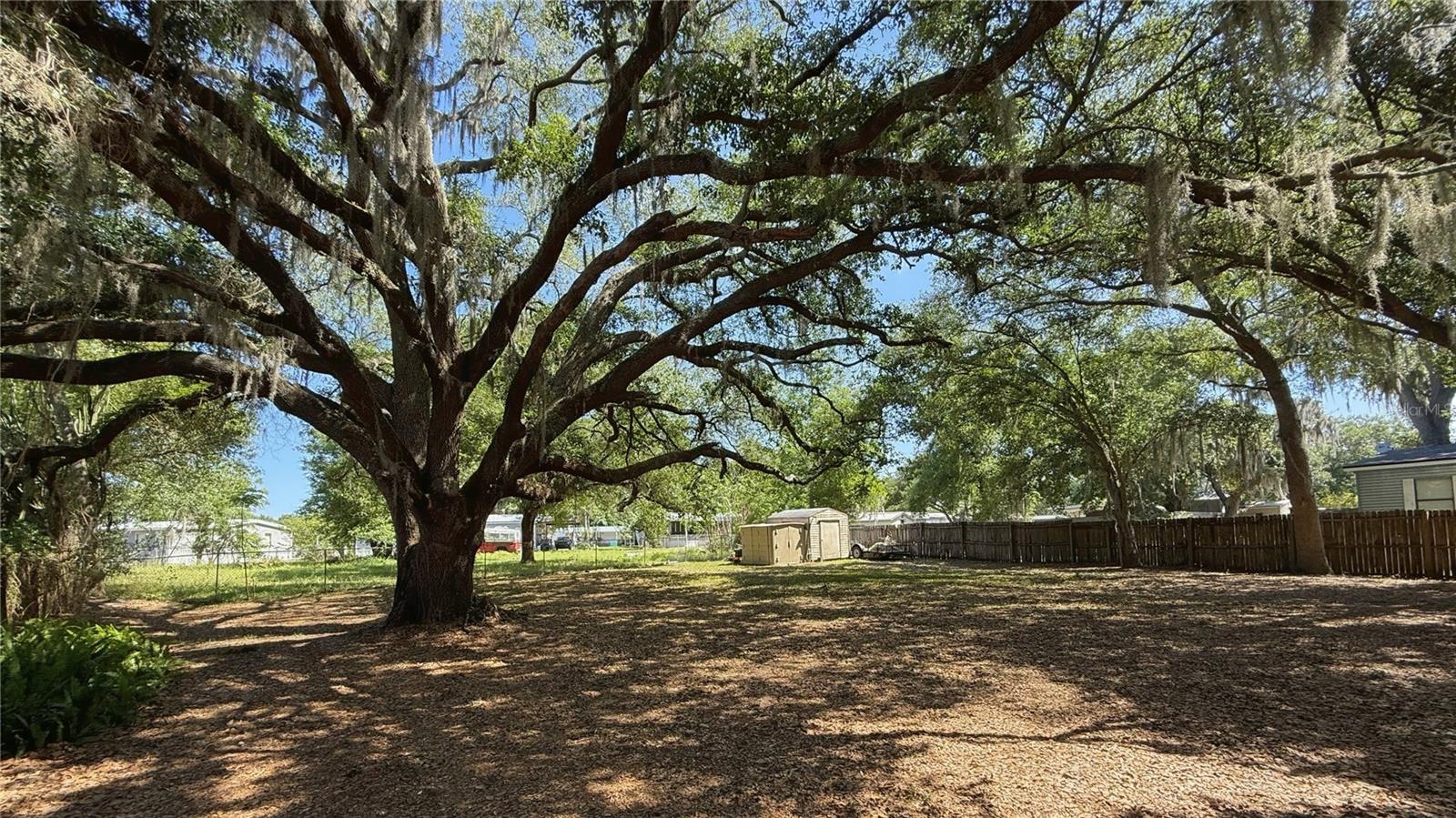 4817 ROLLINGLEN LOOP W, LAKELAND, FL — photo 3