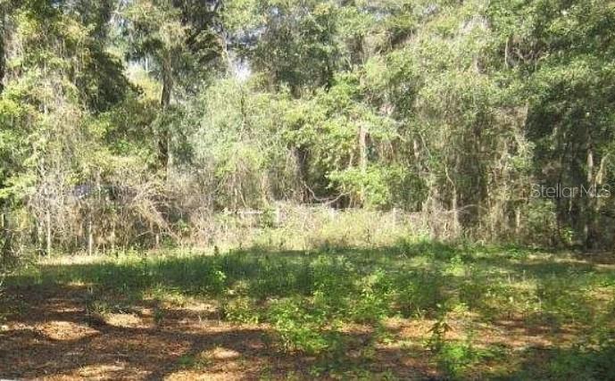 2285 NW 65TH PL, OCALA, FL — photo 4