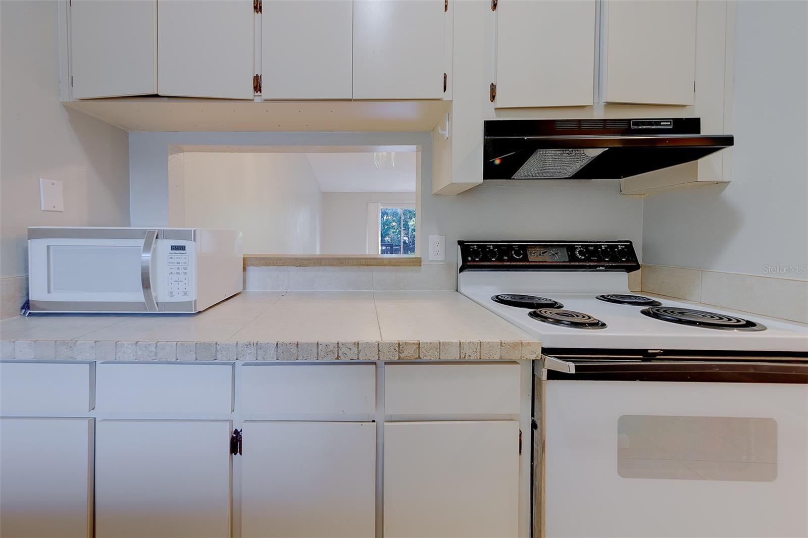 1109 E ROHE ST #A & B, TARPON SPRINGS, FL — photo 10
