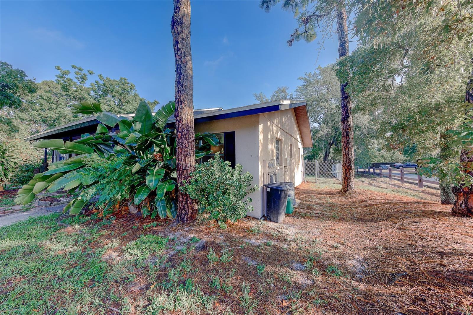 1109 E ROHE ST #A & B, TARPON SPRINGS, FL — photo 38