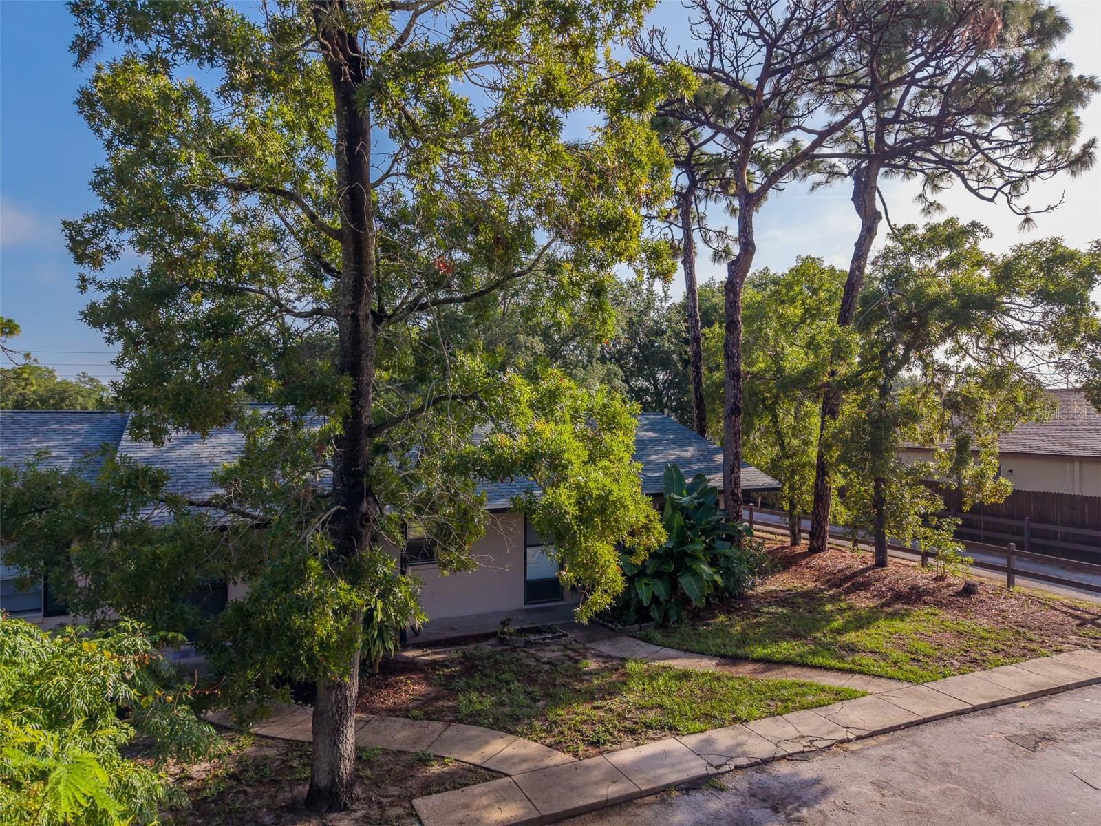 1109 E ROHE ST #A & B, TARPON SPRINGS, FL — photo 44