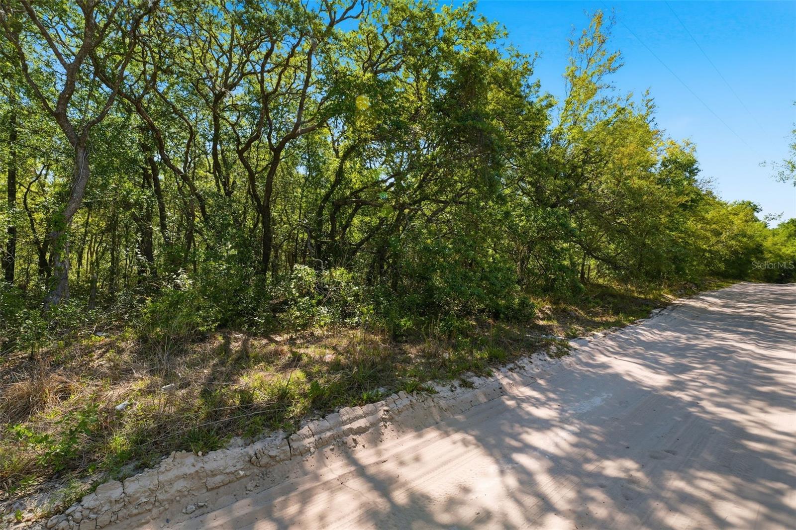 0 COYOTE RD, HUDSON, FL — photo 6