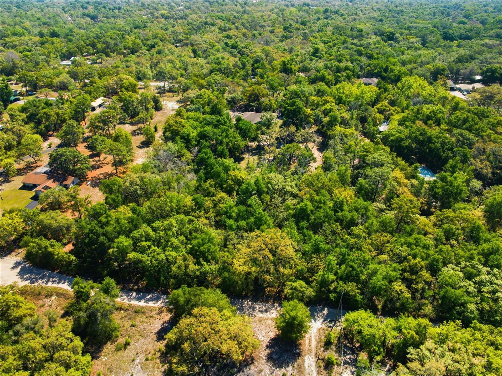 0 COYOTE RD, HUDSON, FL — photo 9
