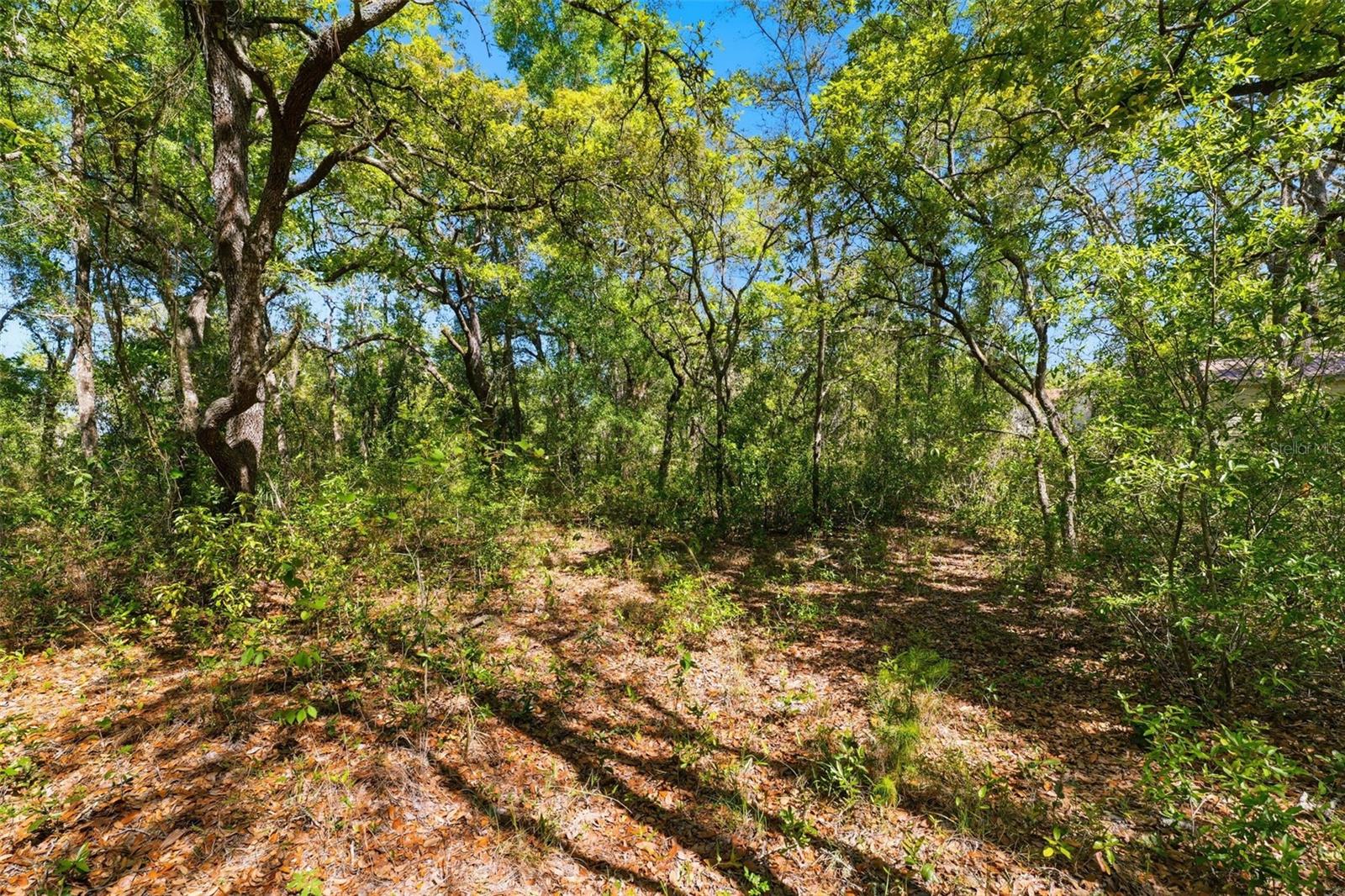 0 COYOTE RD, HUDSON, FL — photo 13