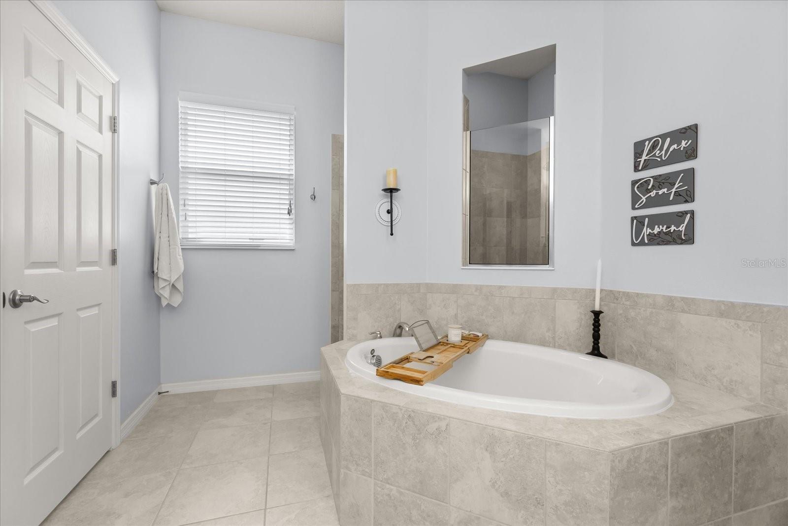2472 PAWTUCKET PASS, MOUNT DORA, FL — photo 38