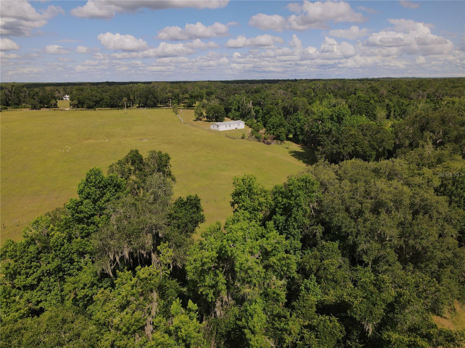 11804 SE COUNTY ROAD 234, MICANOPY, FL — photo 10