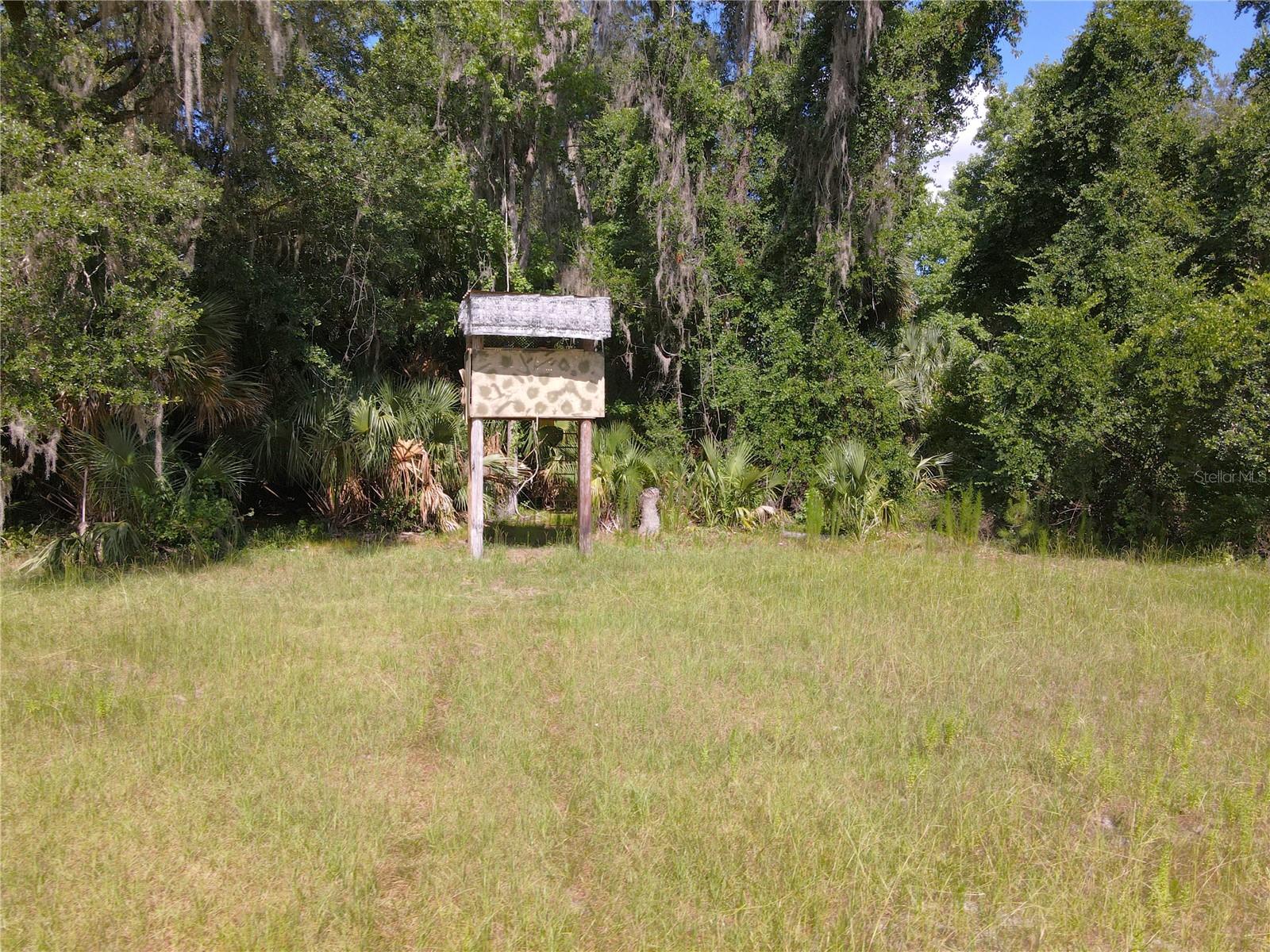 11804 SE COUNTY ROAD 234, MICANOPY, FL — photo 17