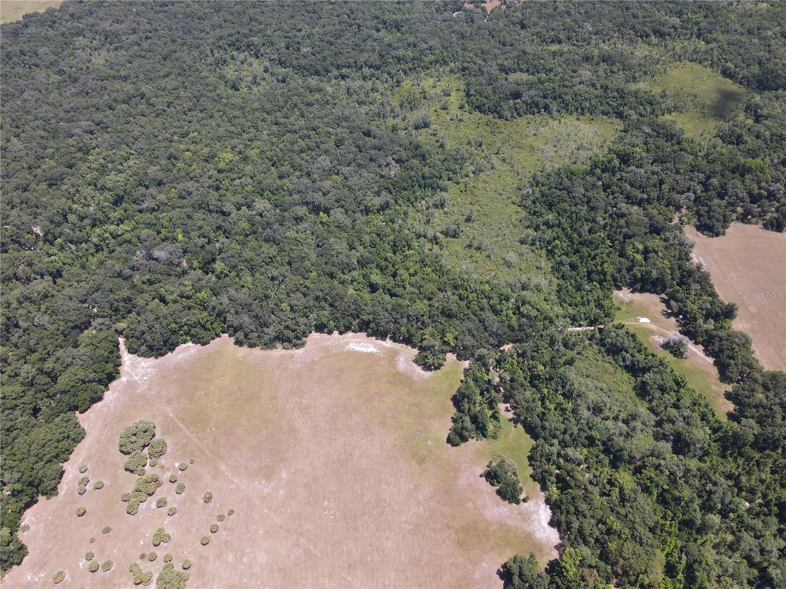 11804 SE COUNTY ROAD 234, MICANOPY, FL — photo 44