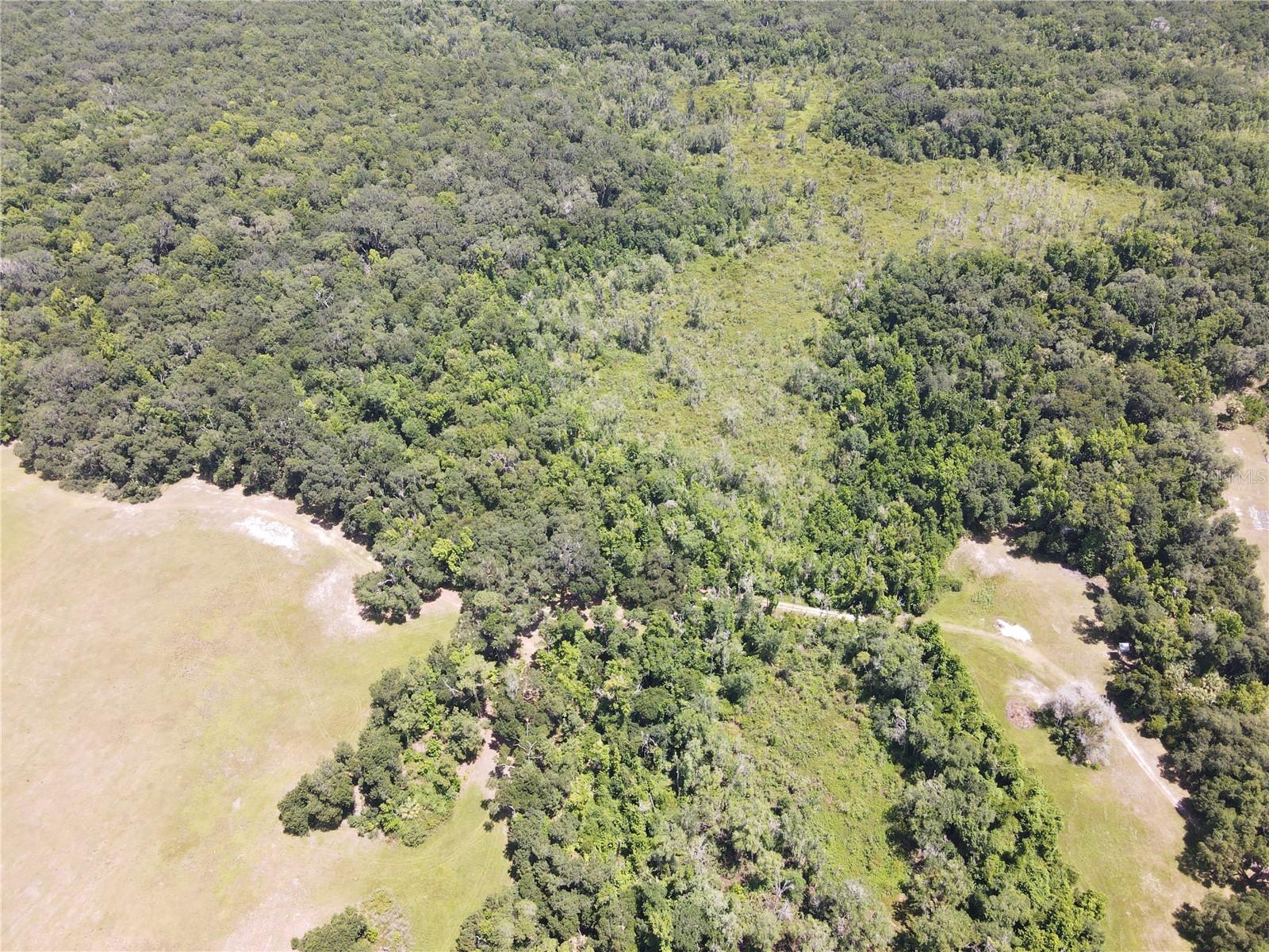 11804 SE COUNTY ROAD 234, MICANOPY, FL — photo 46