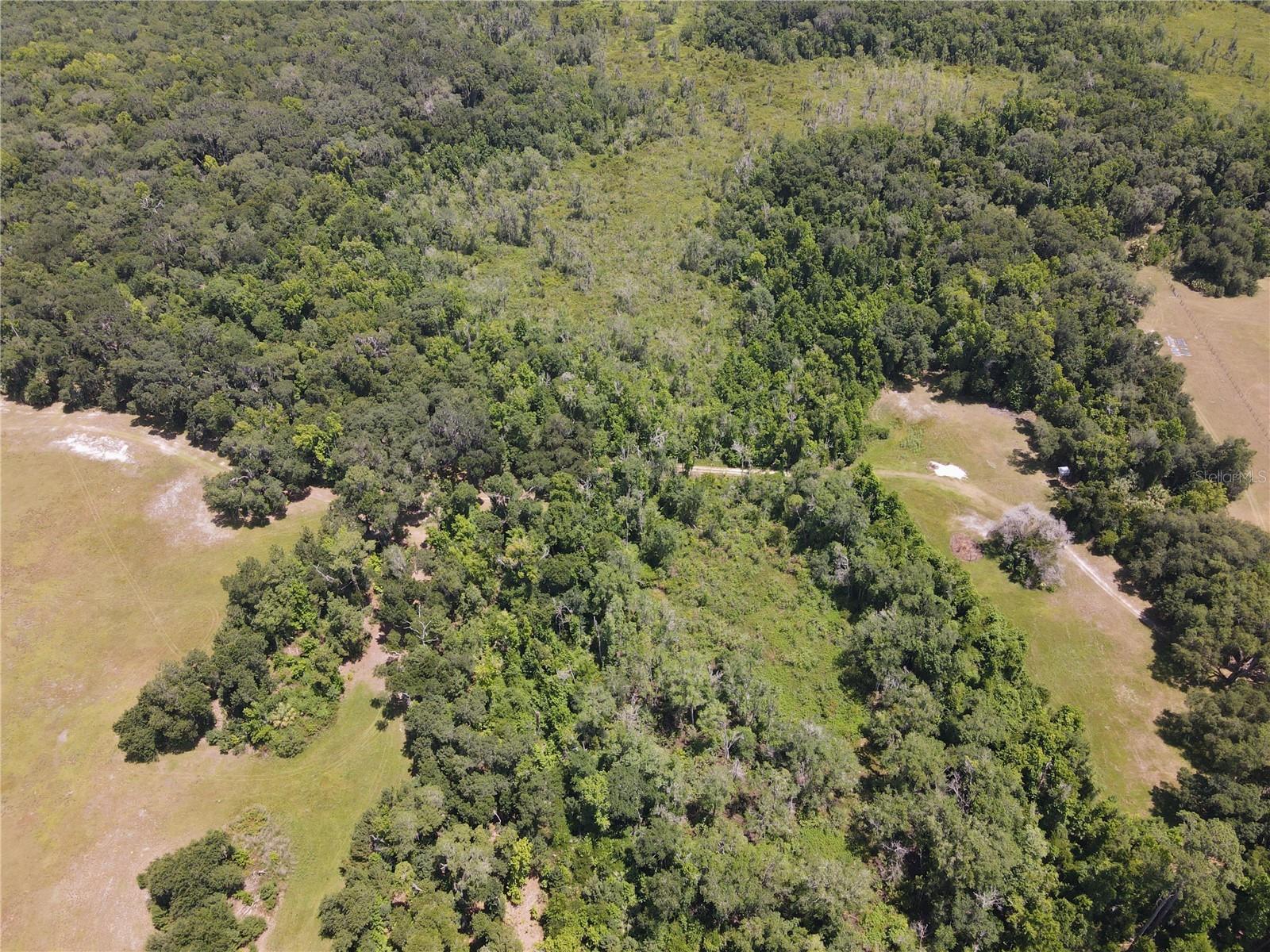 11804 SE COUNTY ROAD 234, MICANOPY, FL — photo 48